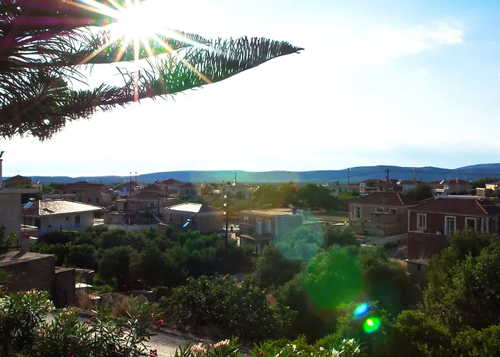 Laconia Domus - Pappadhiánika